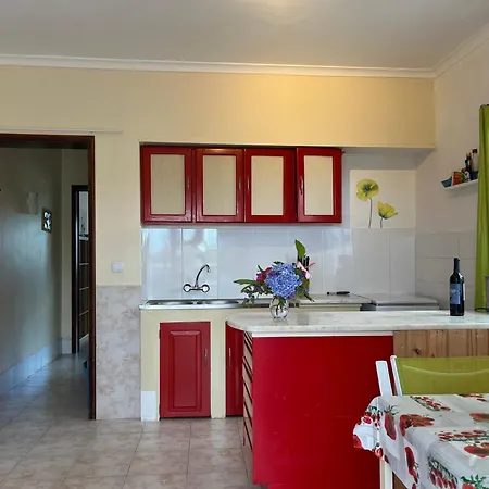 Ingwer, Floramar Candelária