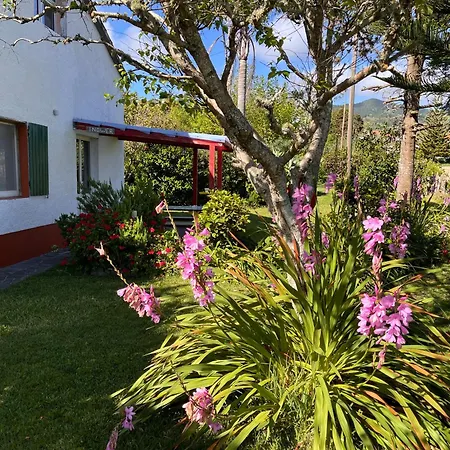 Ingwer, Floramar * Candelária